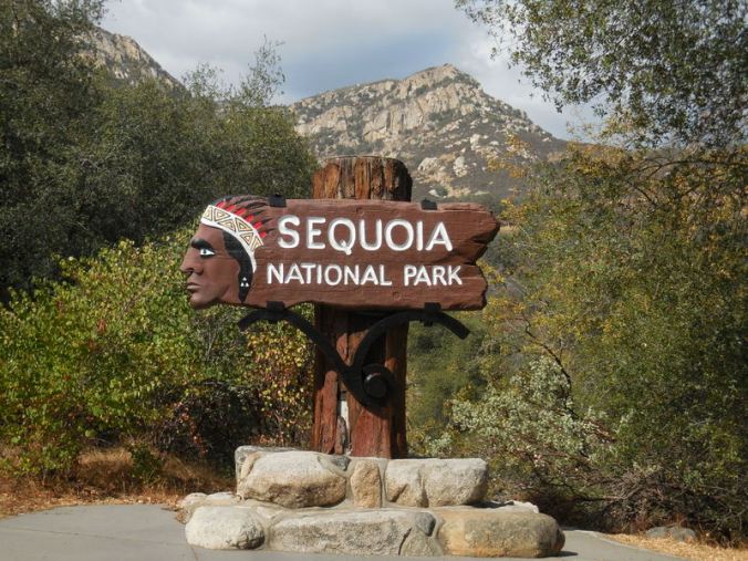 Sequoia NP sign