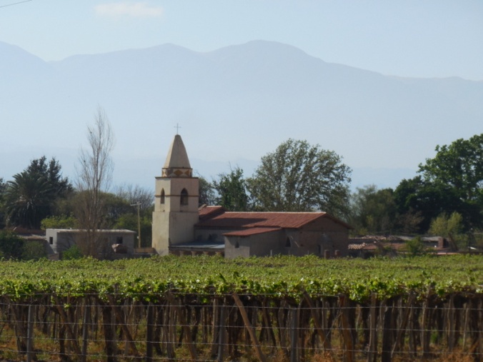 Church and vines - Tolombon